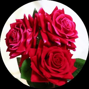 عکس کاربری